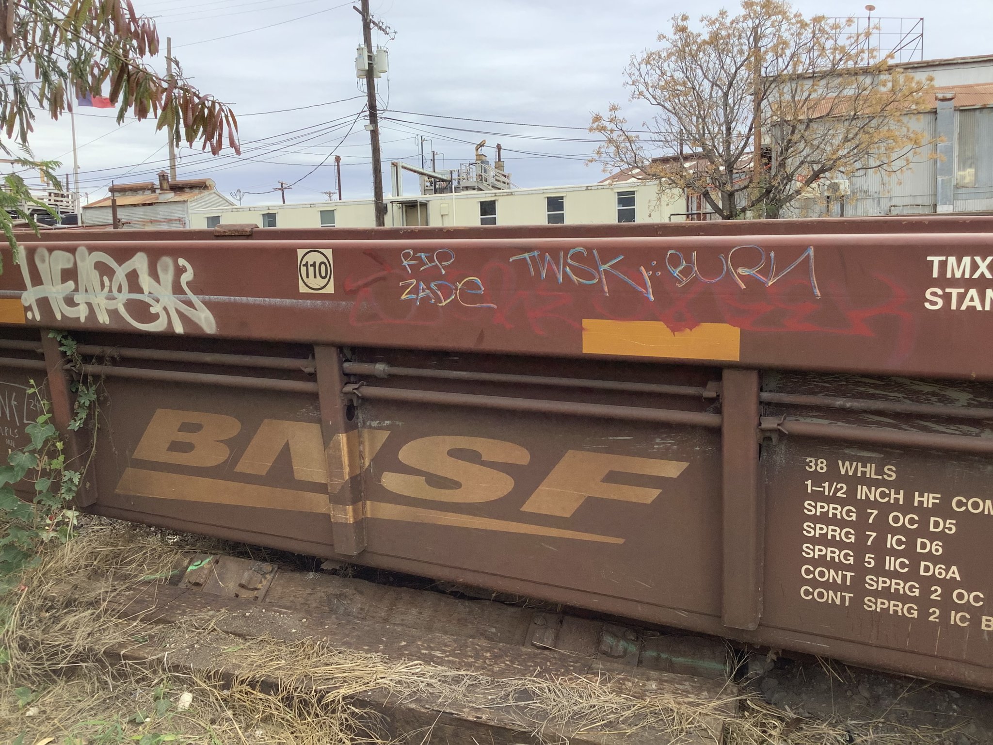 IMG_2733.jpeg