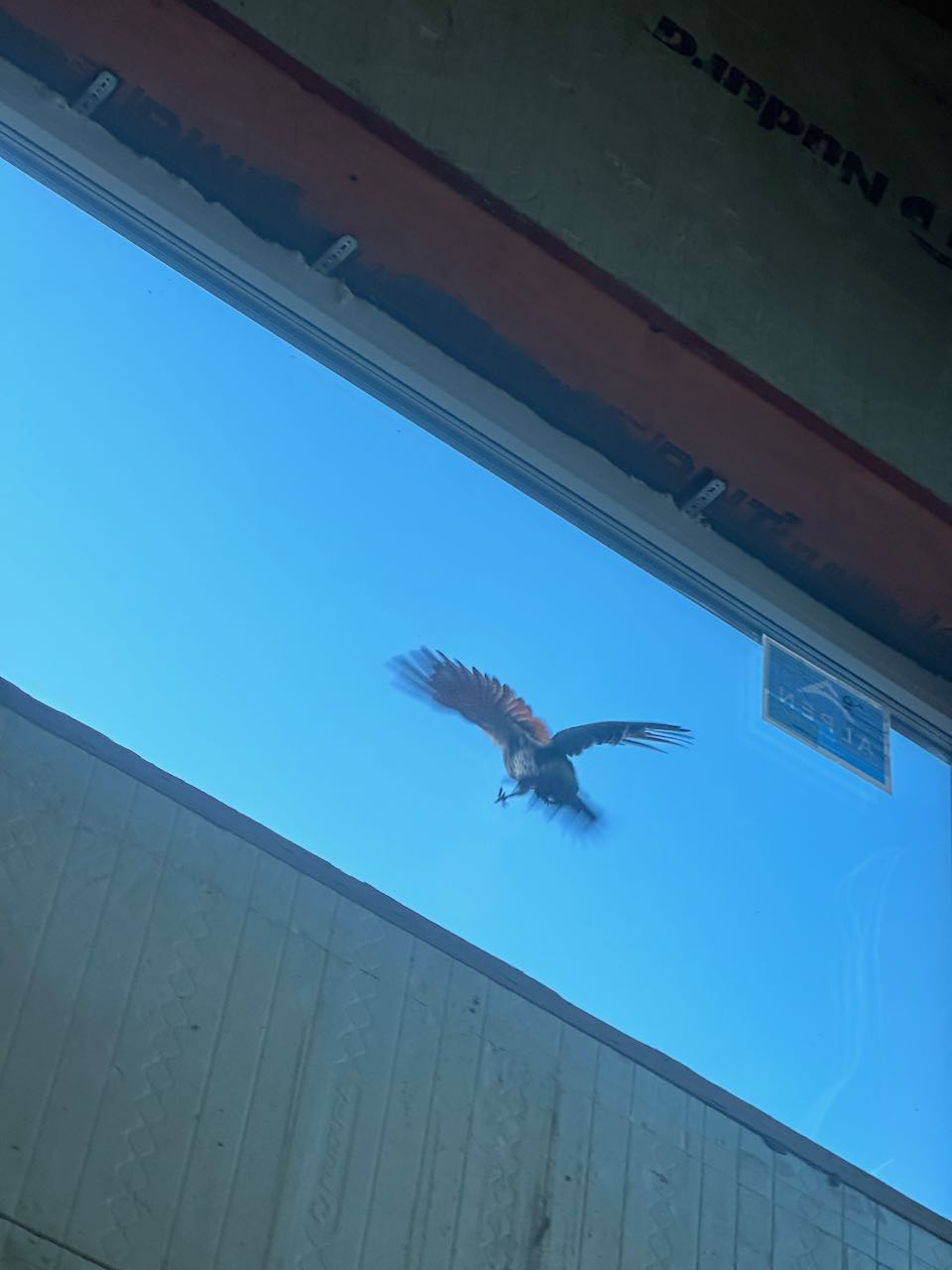 IMG_3714.jpeg