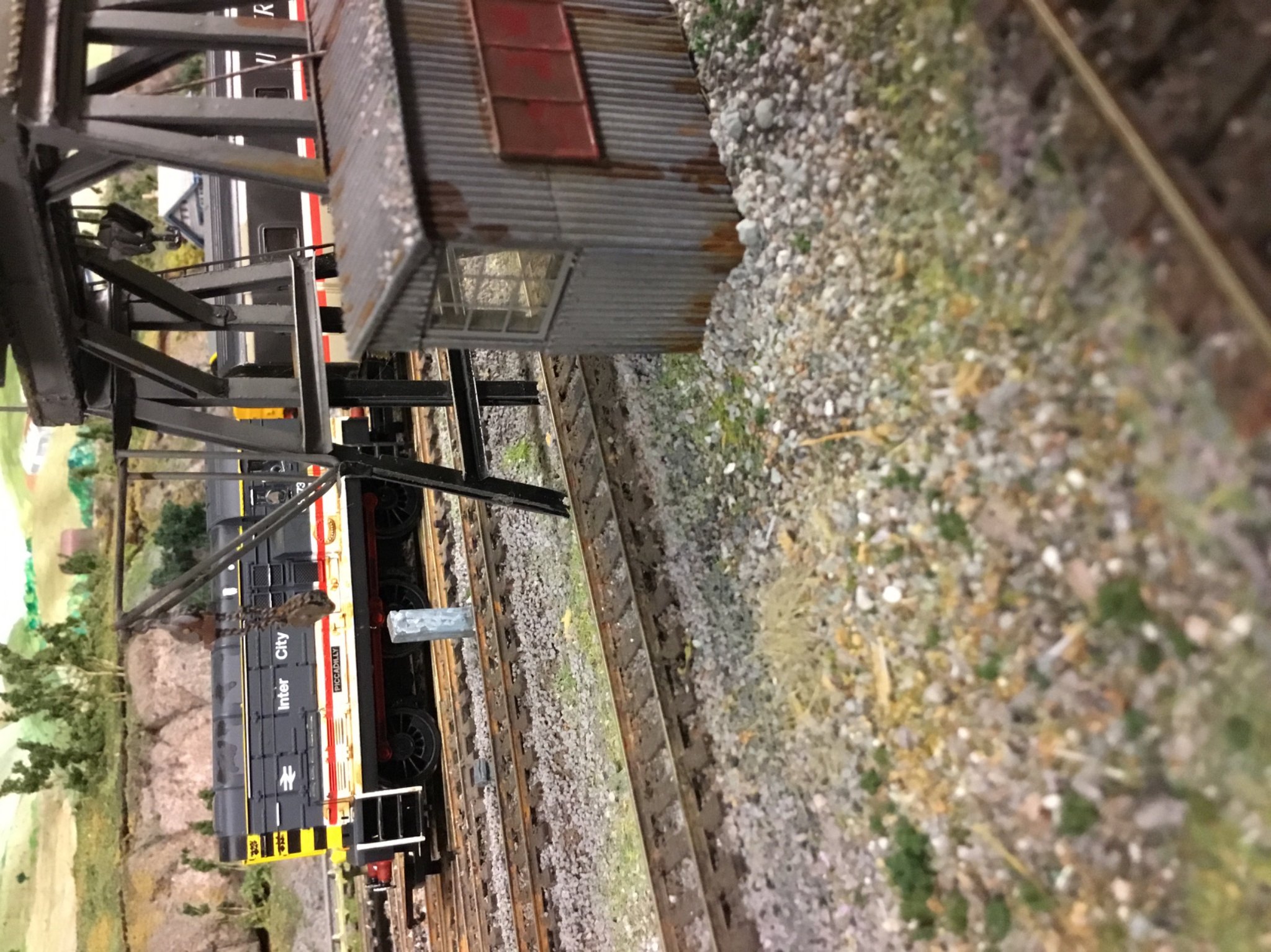 IMG_4822.jpeg