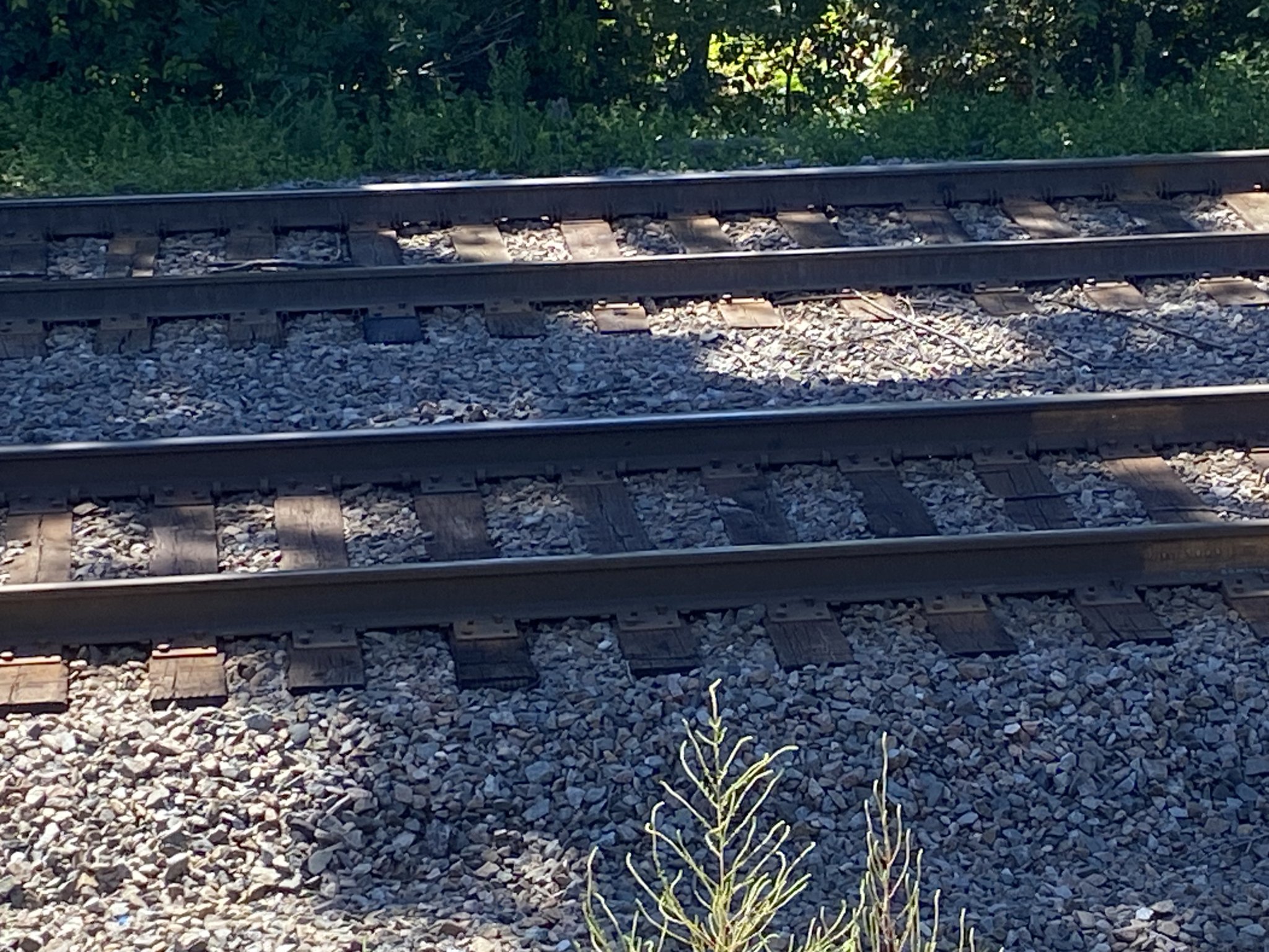 IMG_5679.jpeg