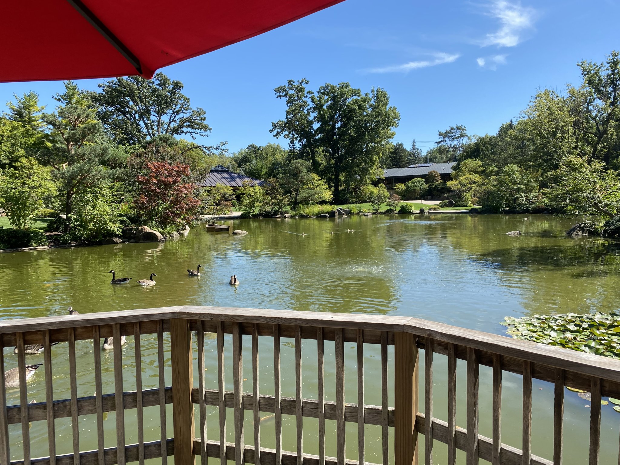 IMG_5717.jpeg