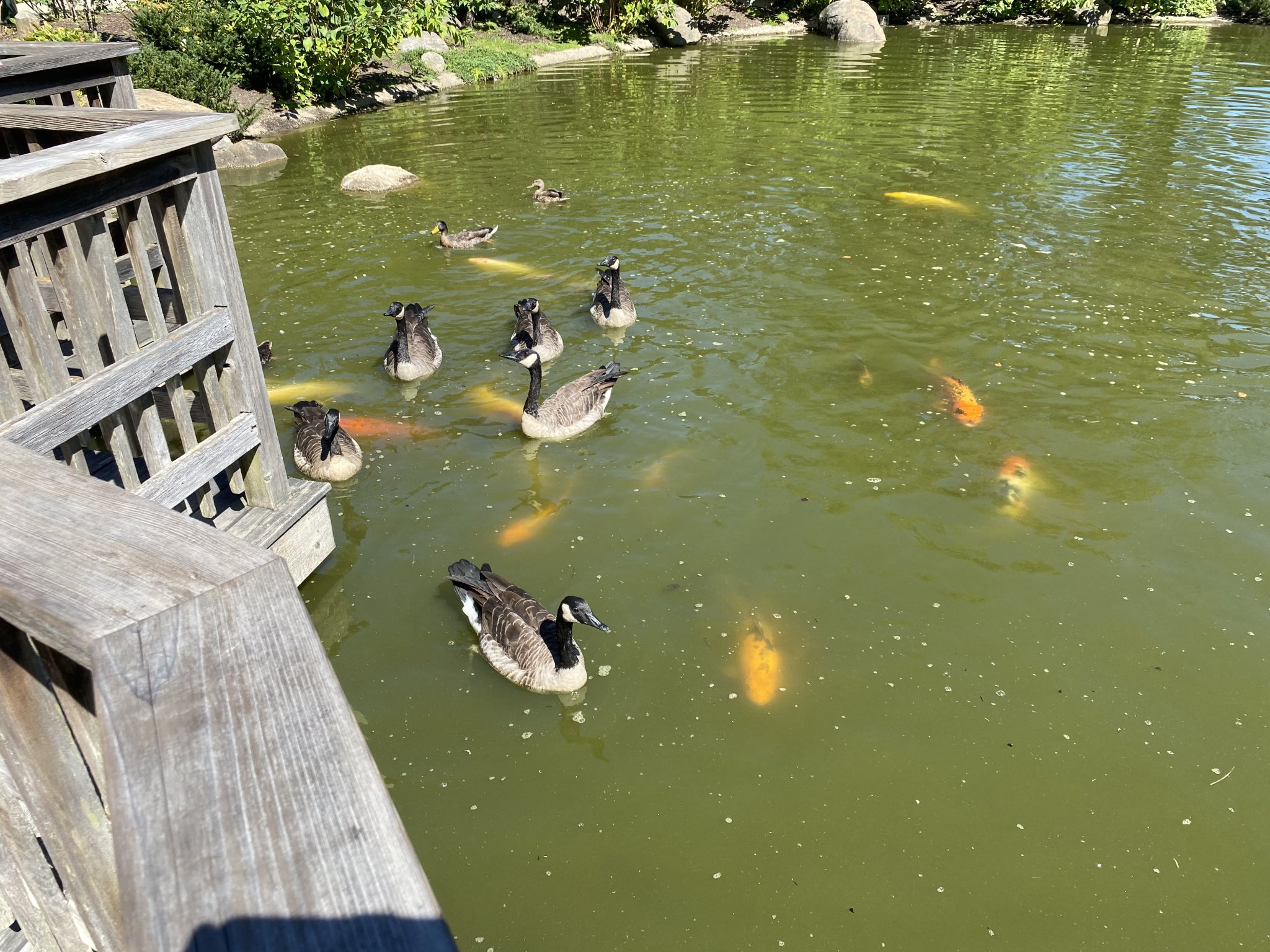 IMG_5719.jpeg