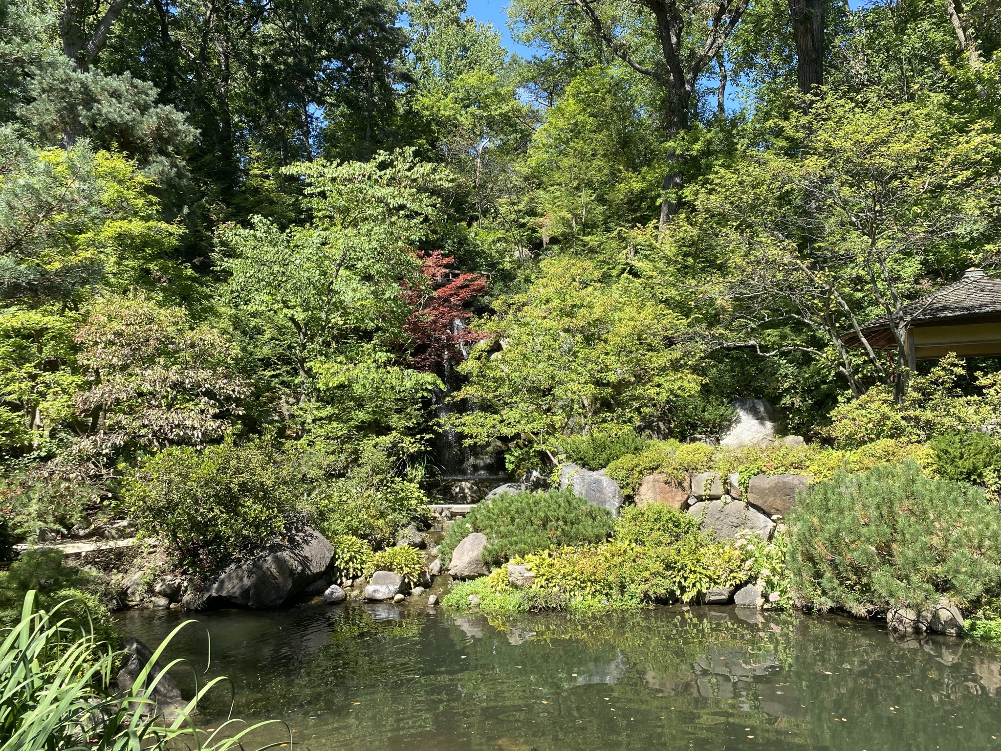 IMG_5726.jpeg