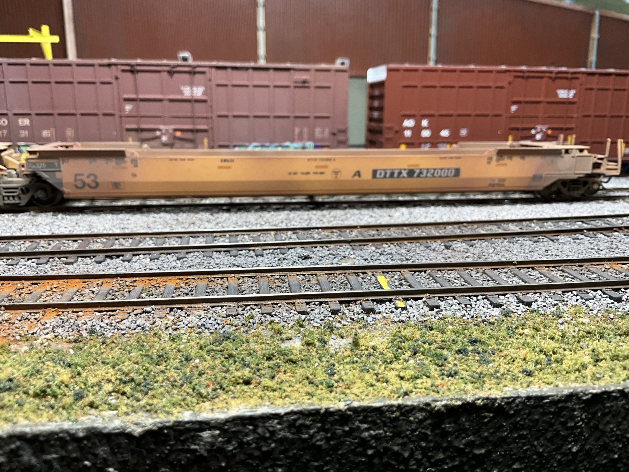 IMG_6574.jpeg