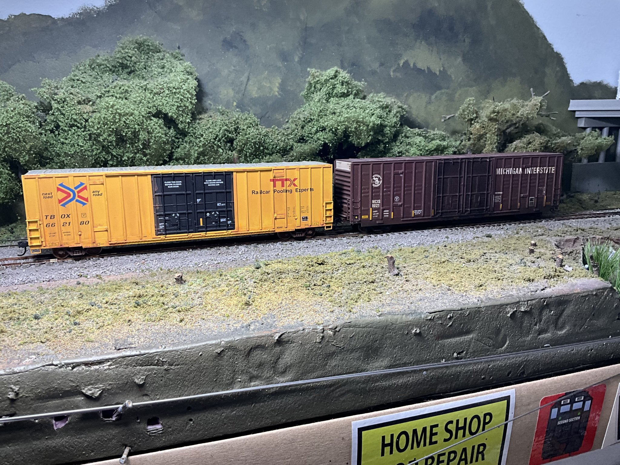 IMG_6888.jpeg