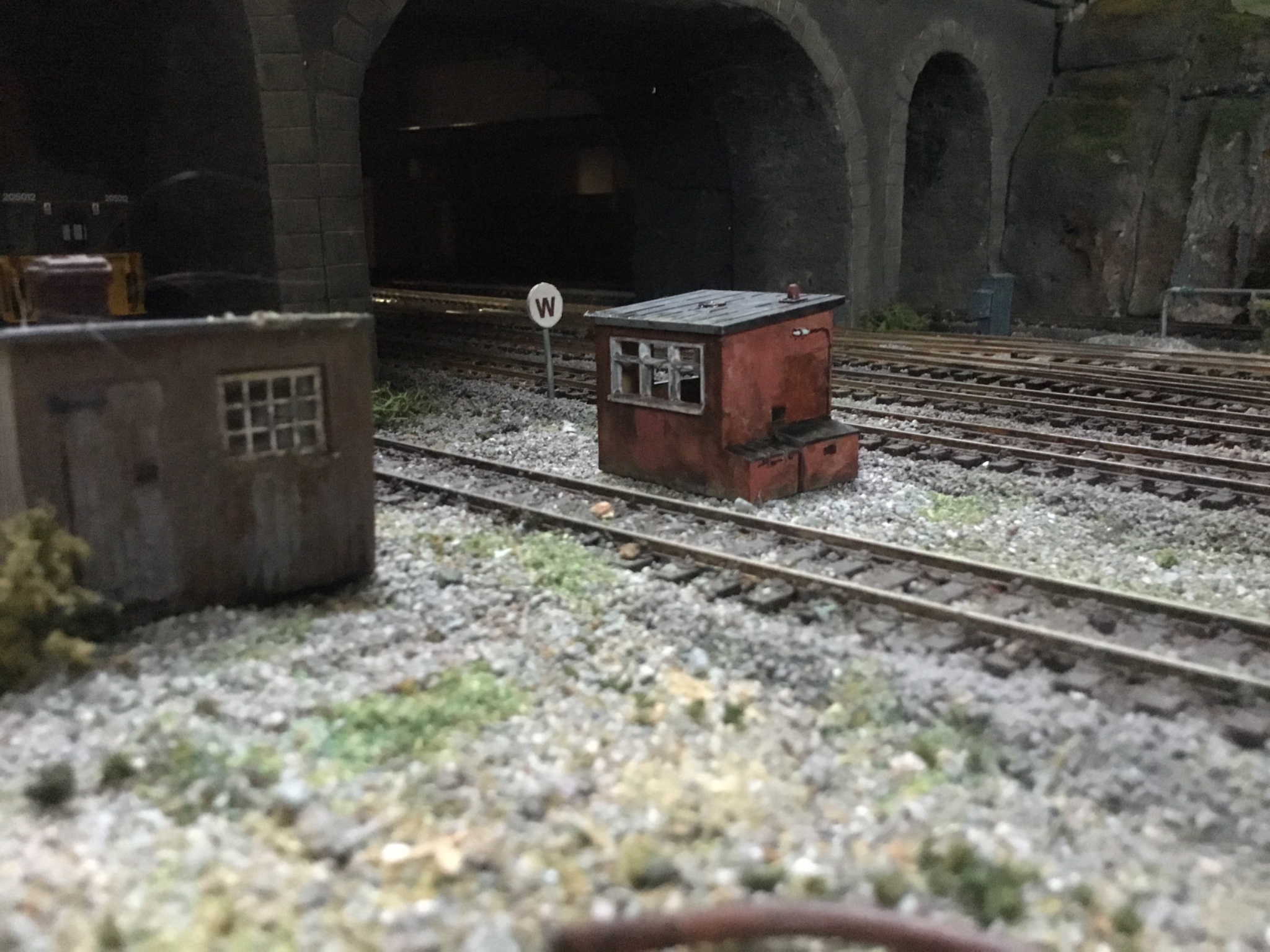 IMG_6895.jpeg