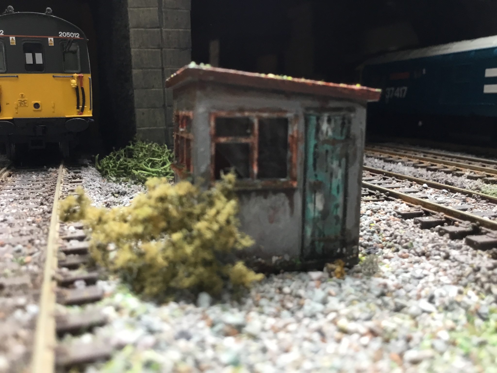 IMG_6971.jpeg