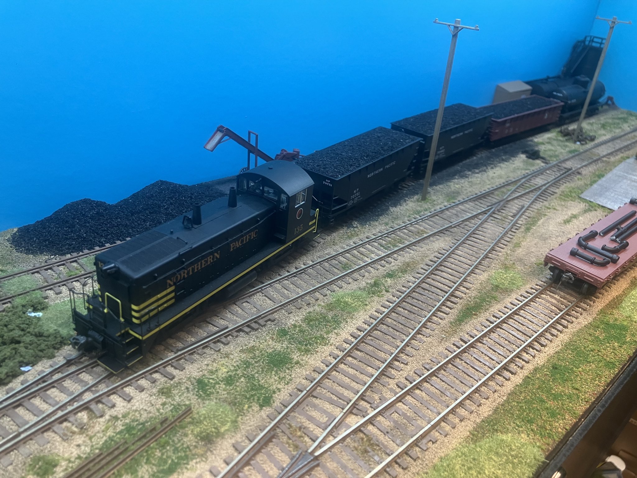 IMG_7503.jpeg