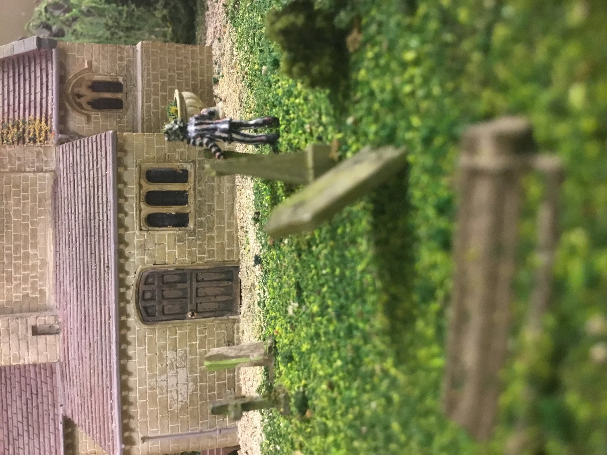 IMG_7682.jpeg