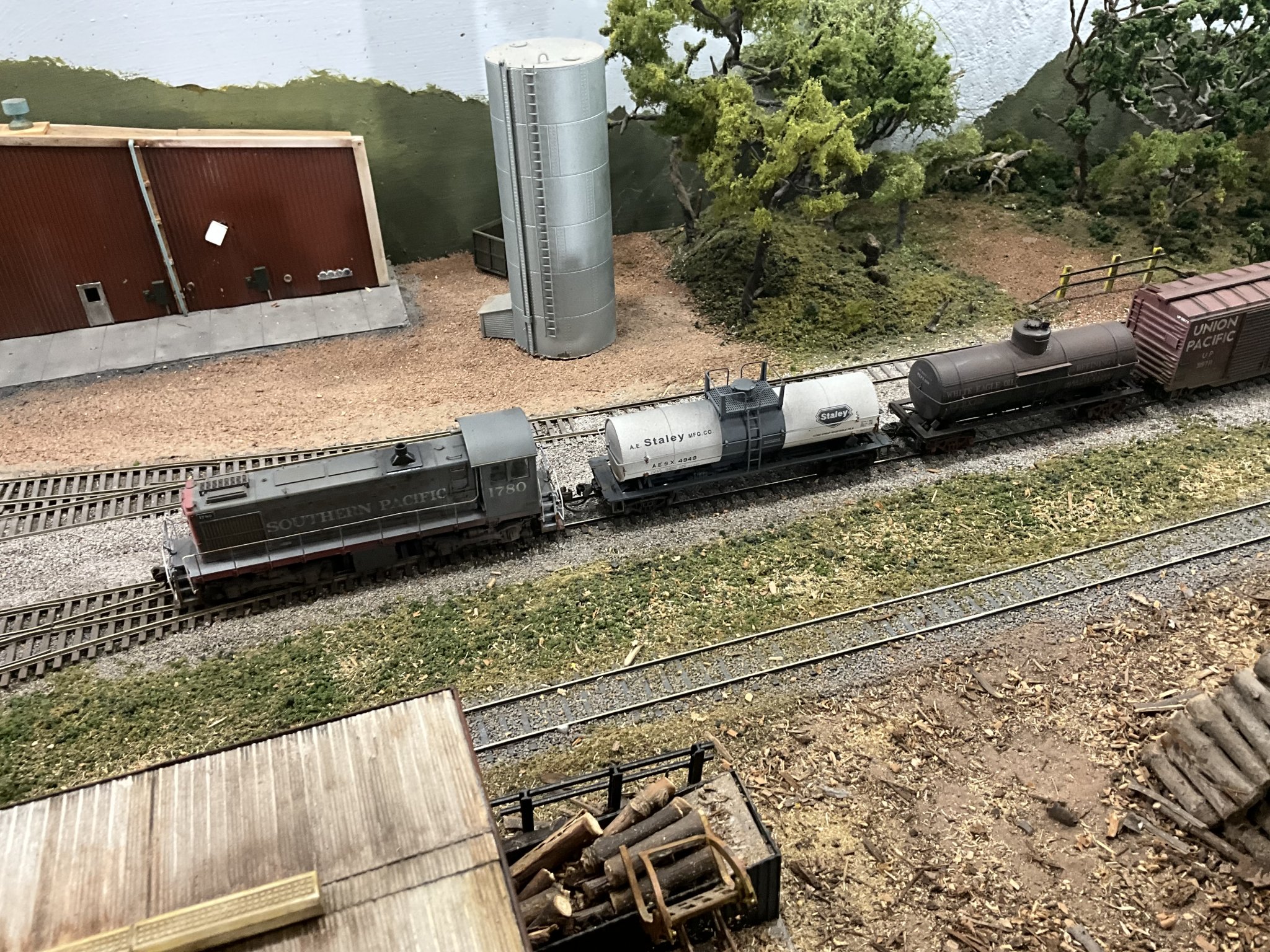 IMG_8014.jpeg
