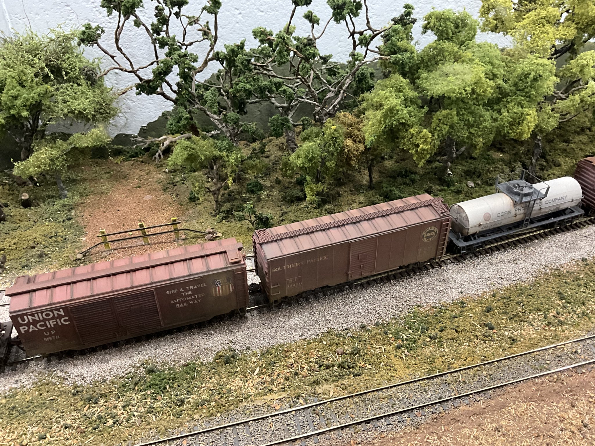 IMG_8015.jpeg