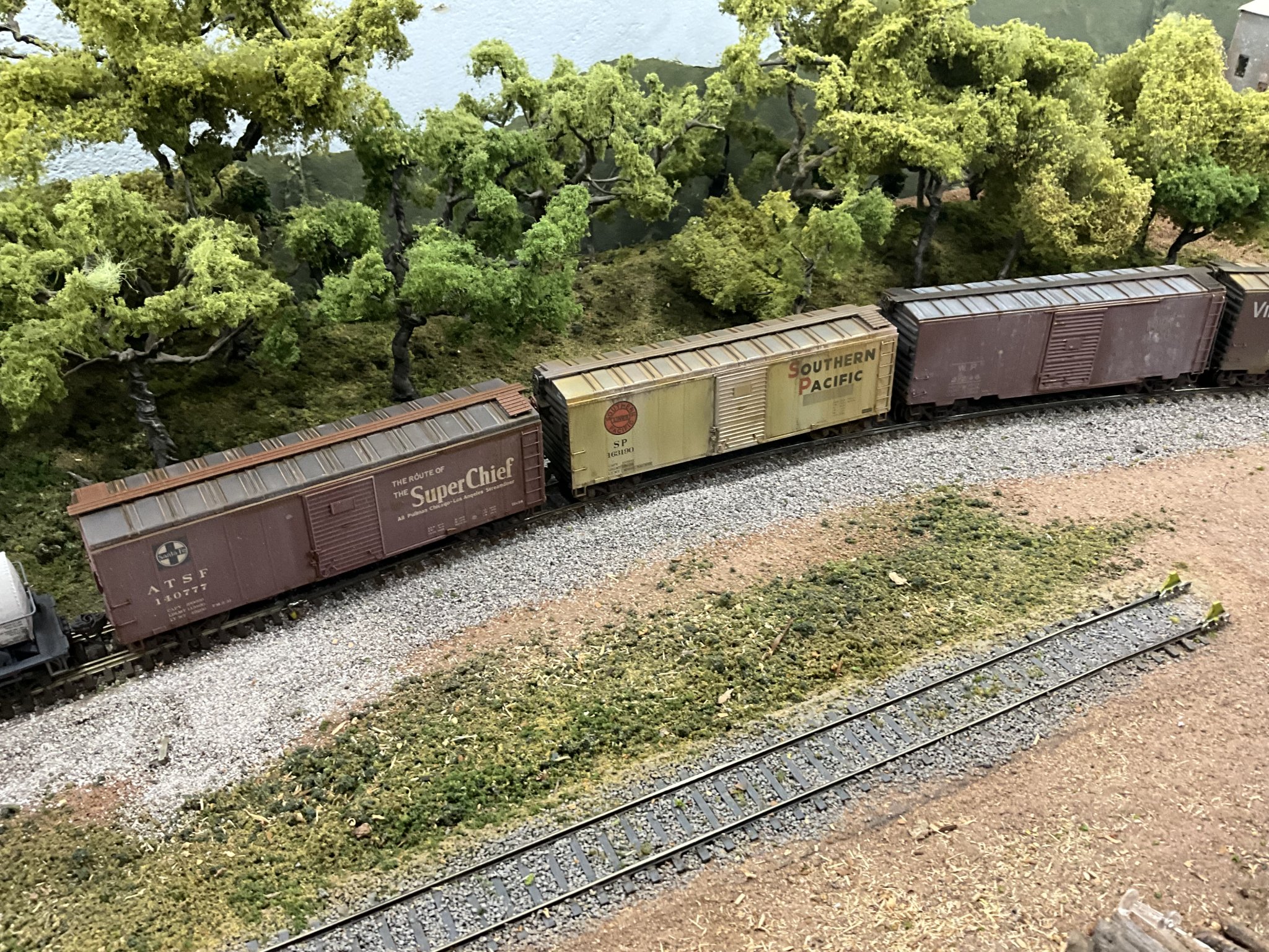 IMG_8016.jpeg