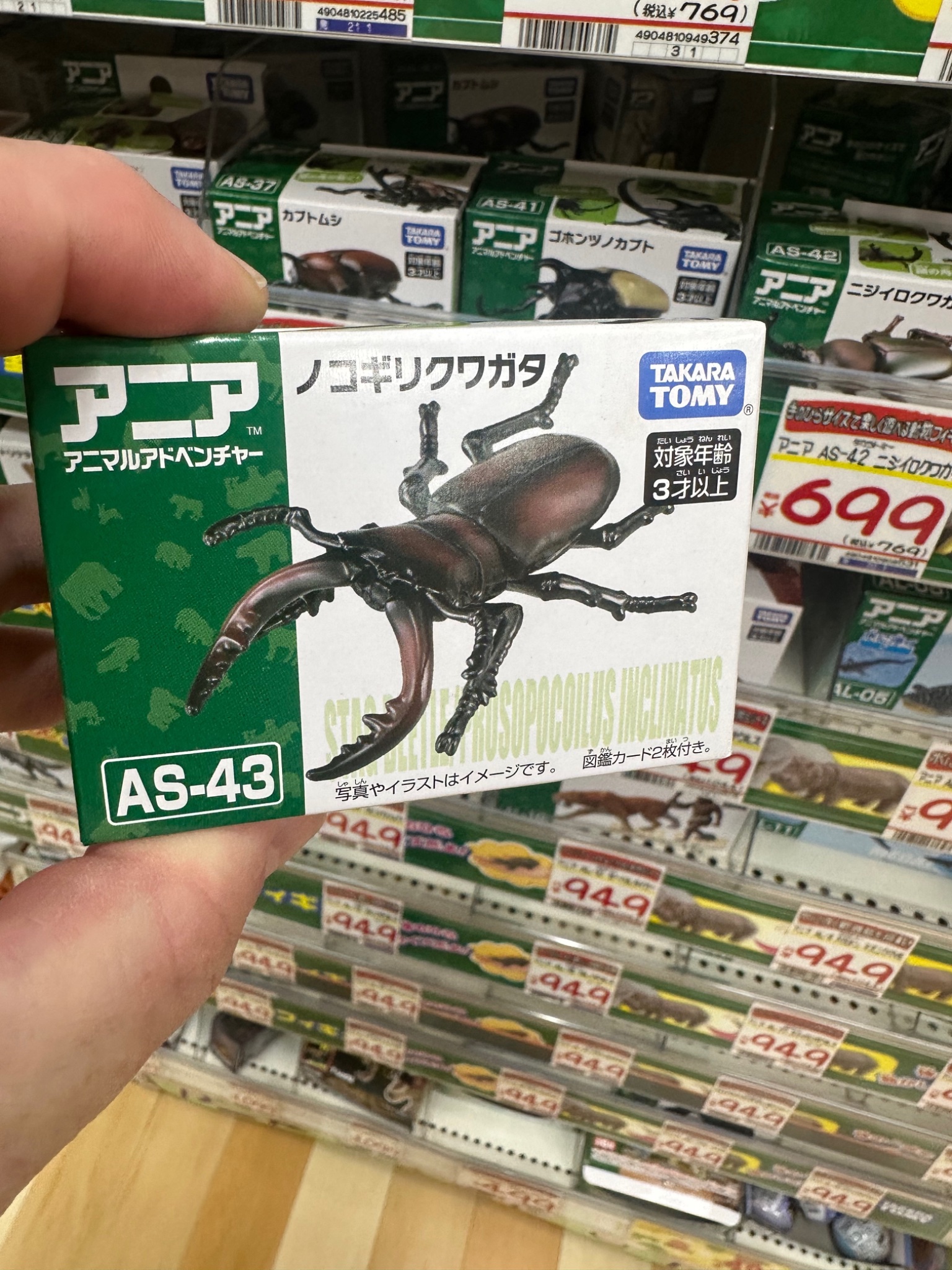 IMG_8049.jpeg