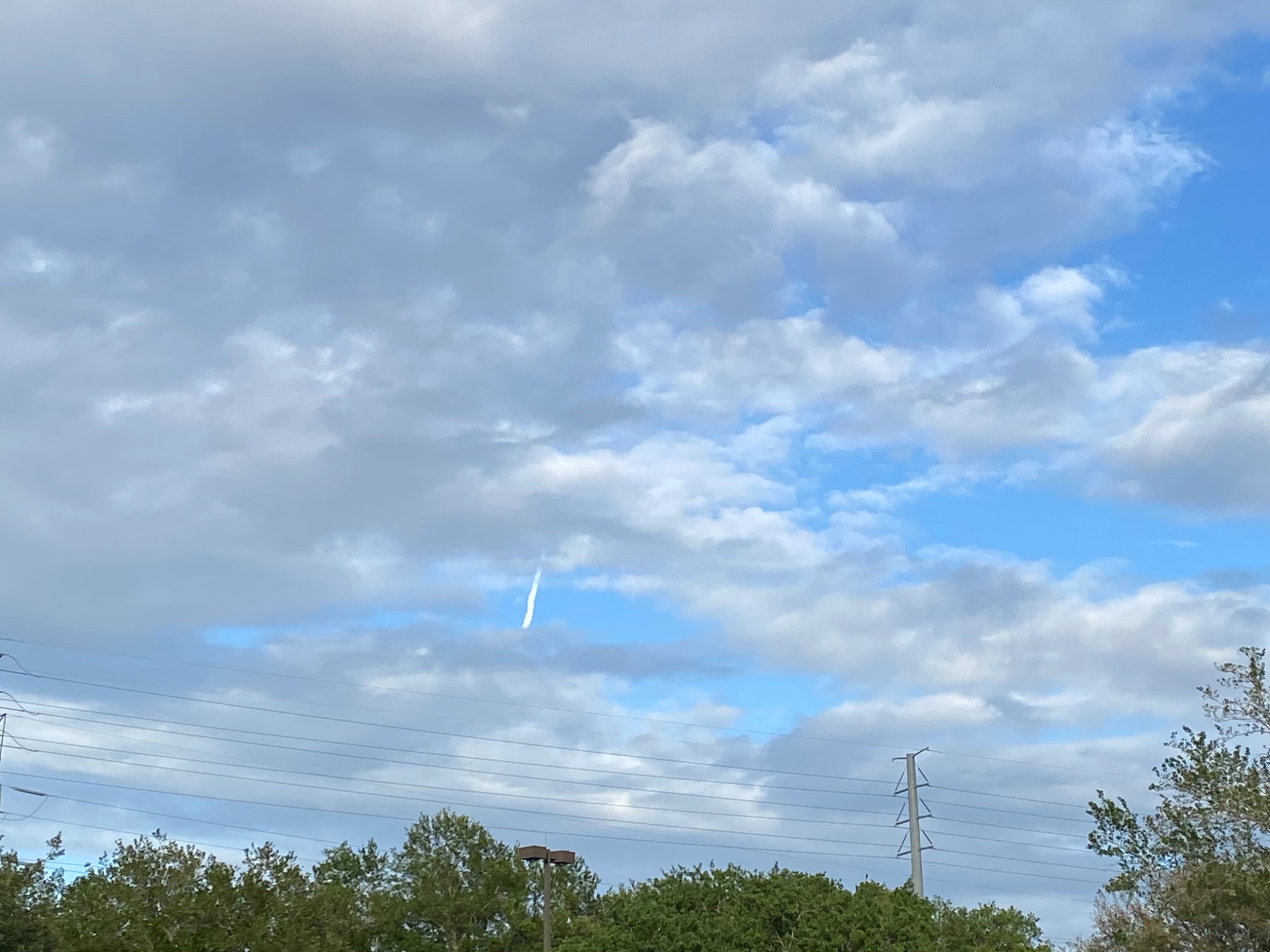 IMG_8063.jpeg