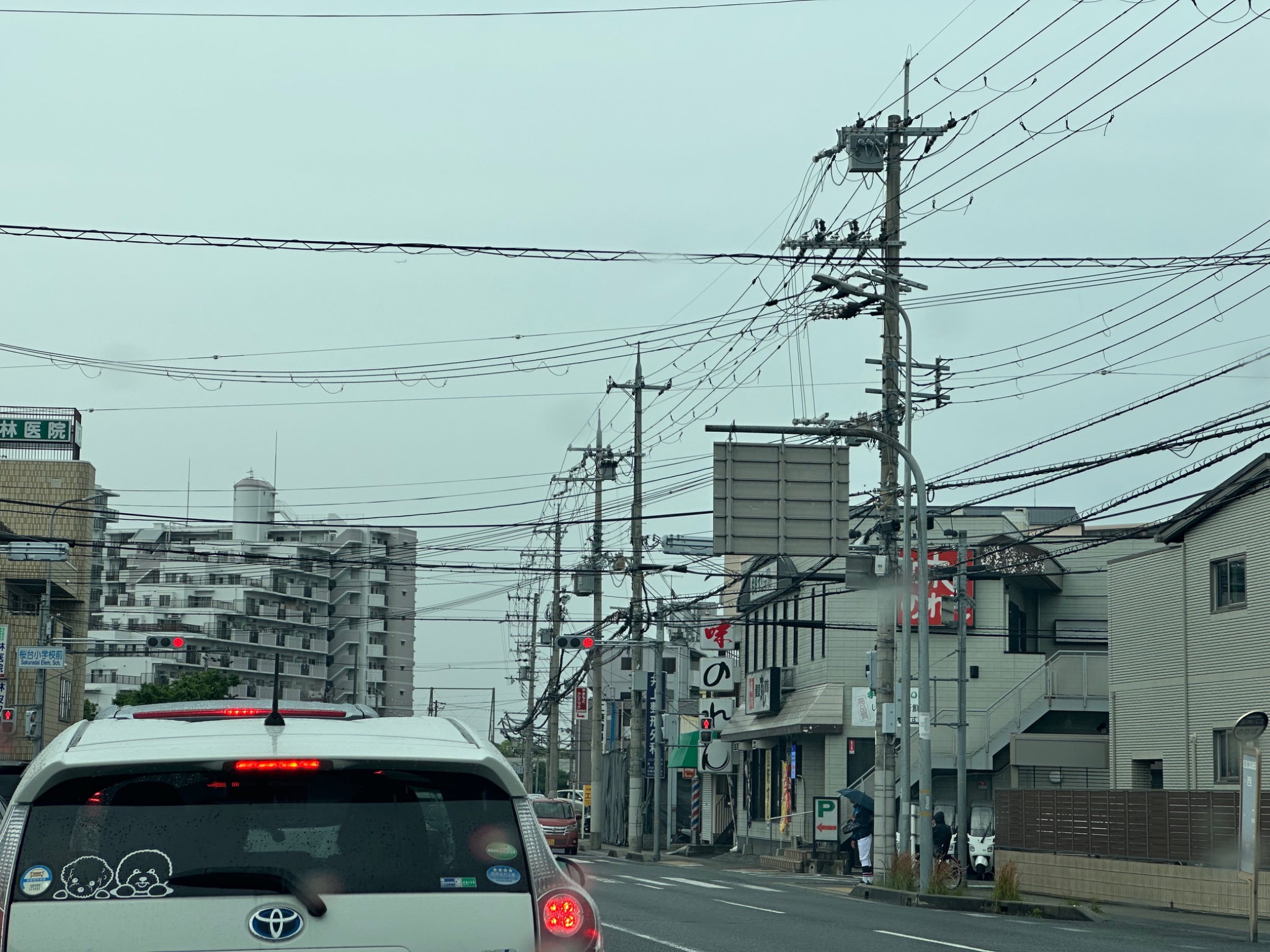 IMG_8073.jpeg