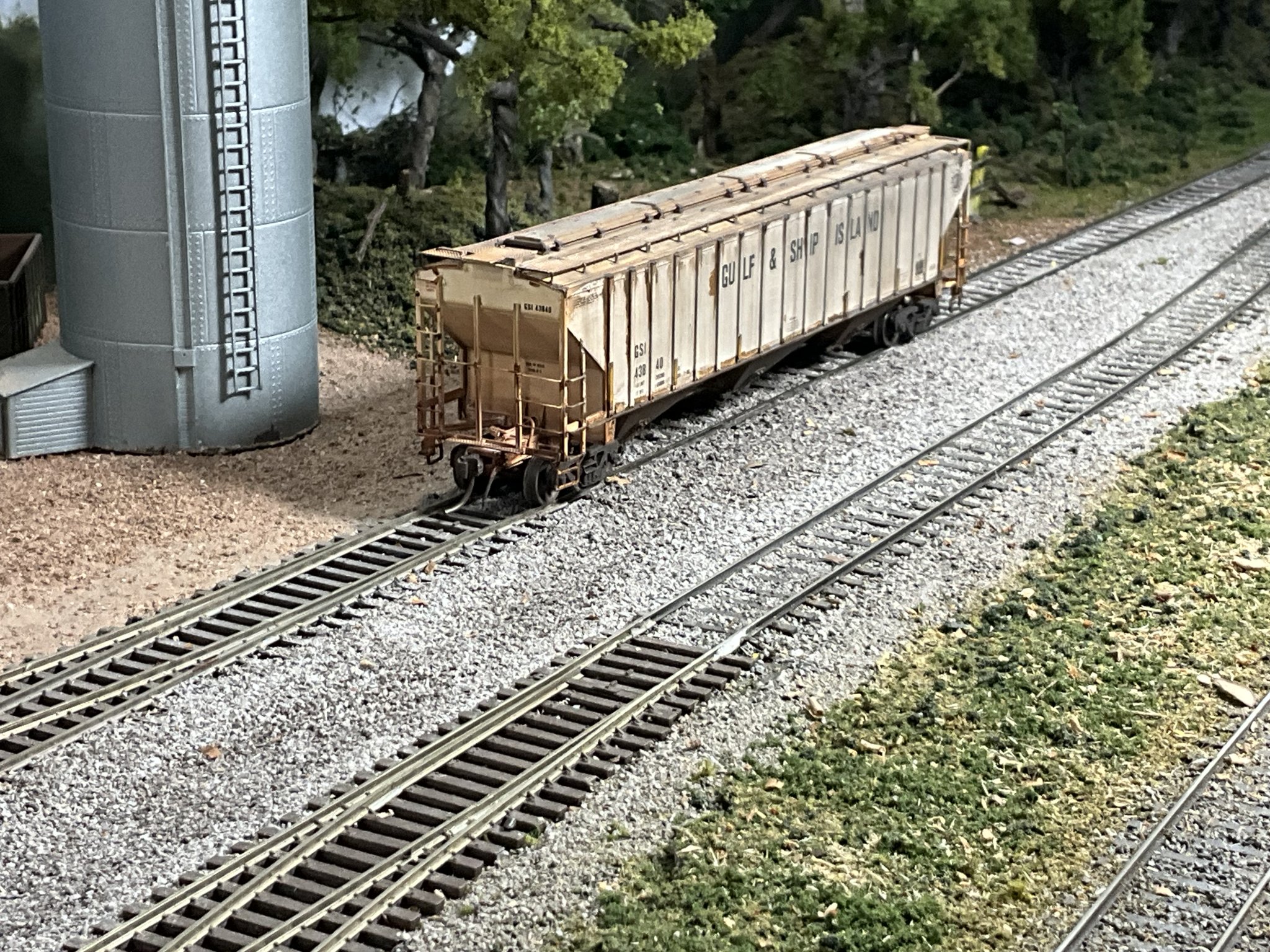 IMG_8250.jpeg