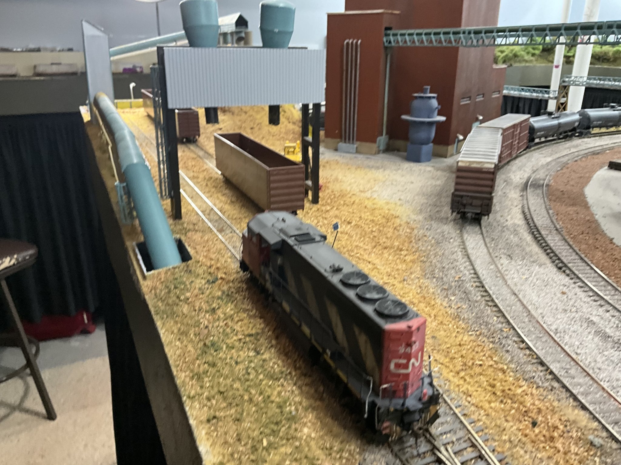 IMG_8306.jpeg
