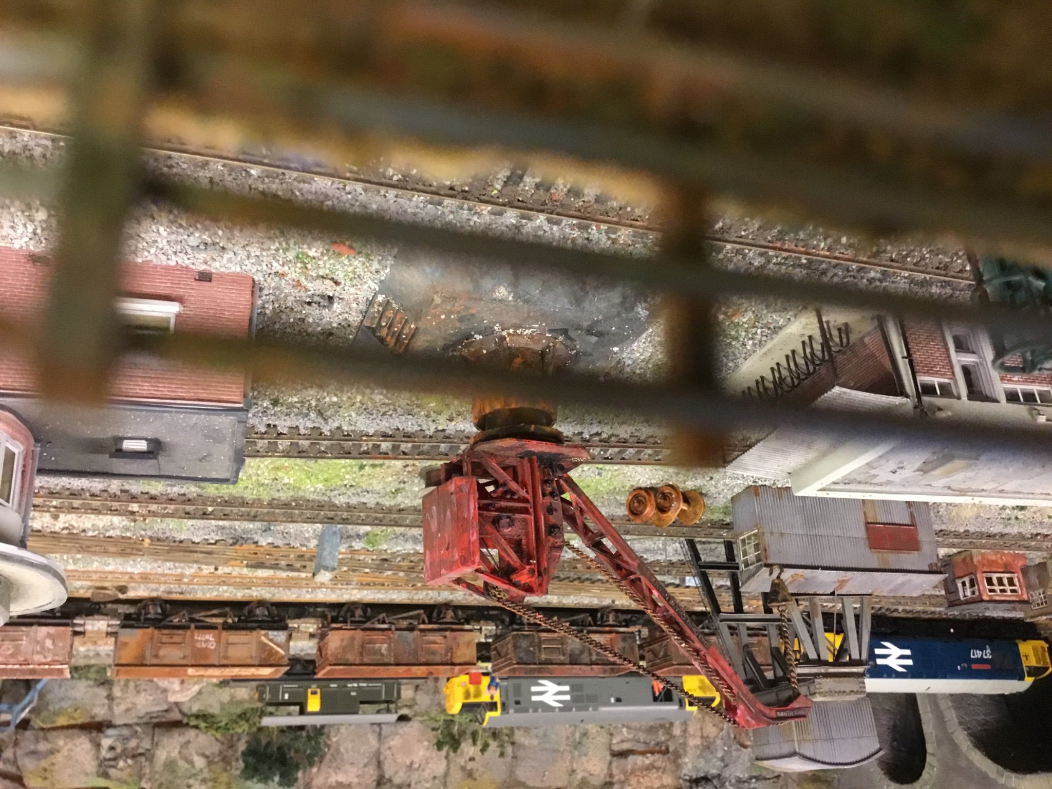 IMG_8454.jpeg
