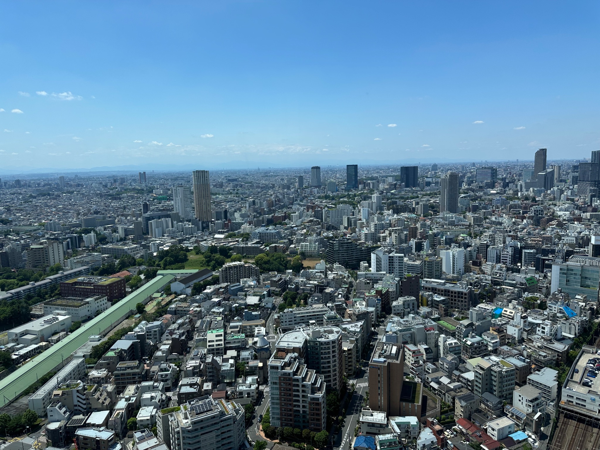 IMG_8543.jpeg
