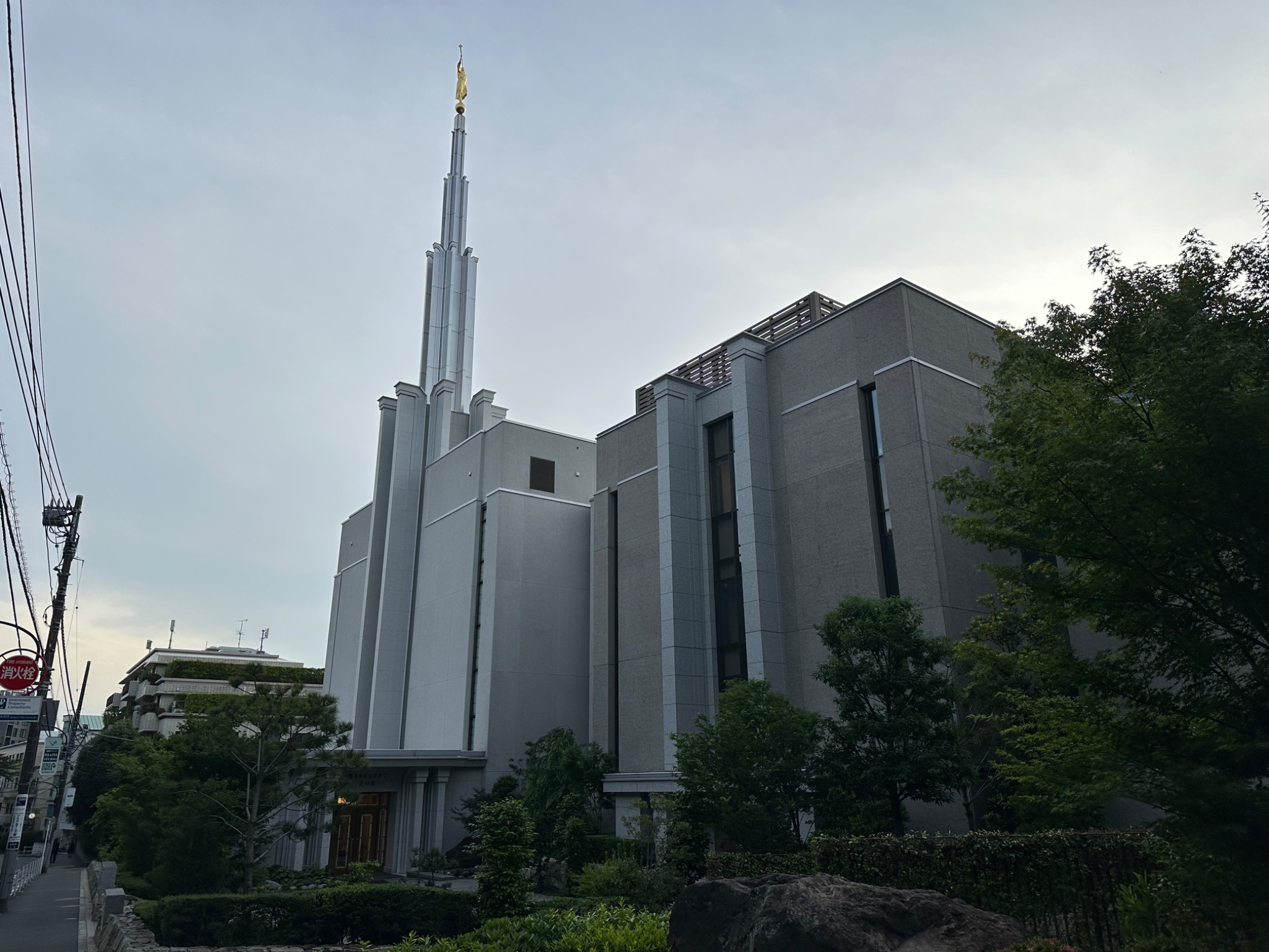IMG_8551.jpeg