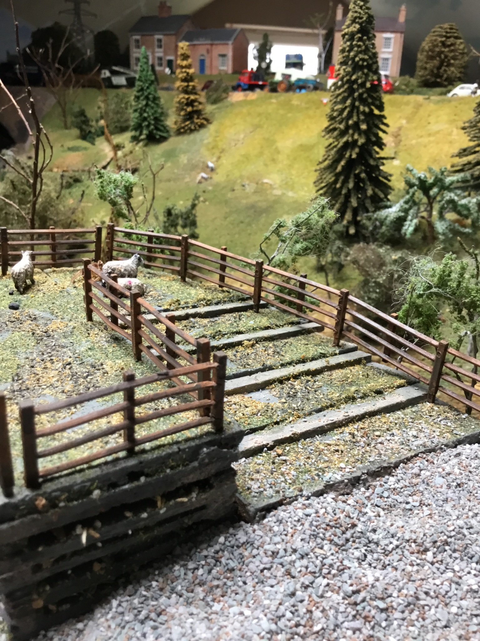 IMG_8701.jpeg