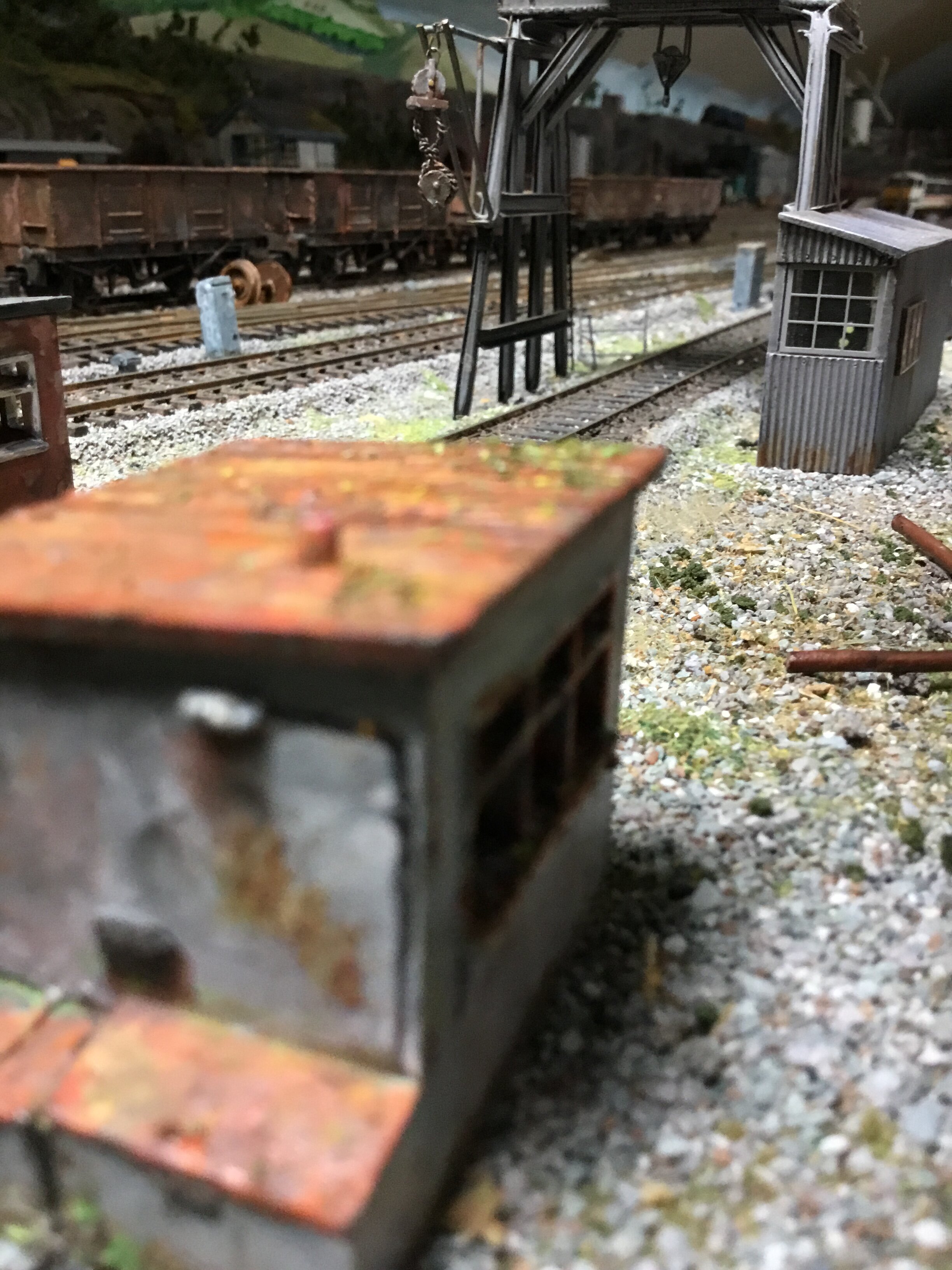IMG_8705.jpeg