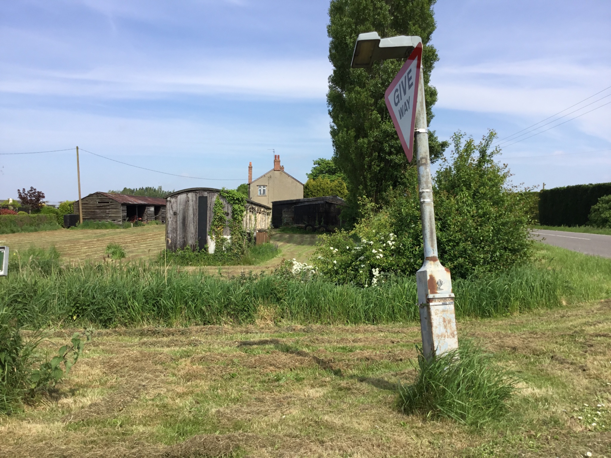 IMG_8960.jpeg