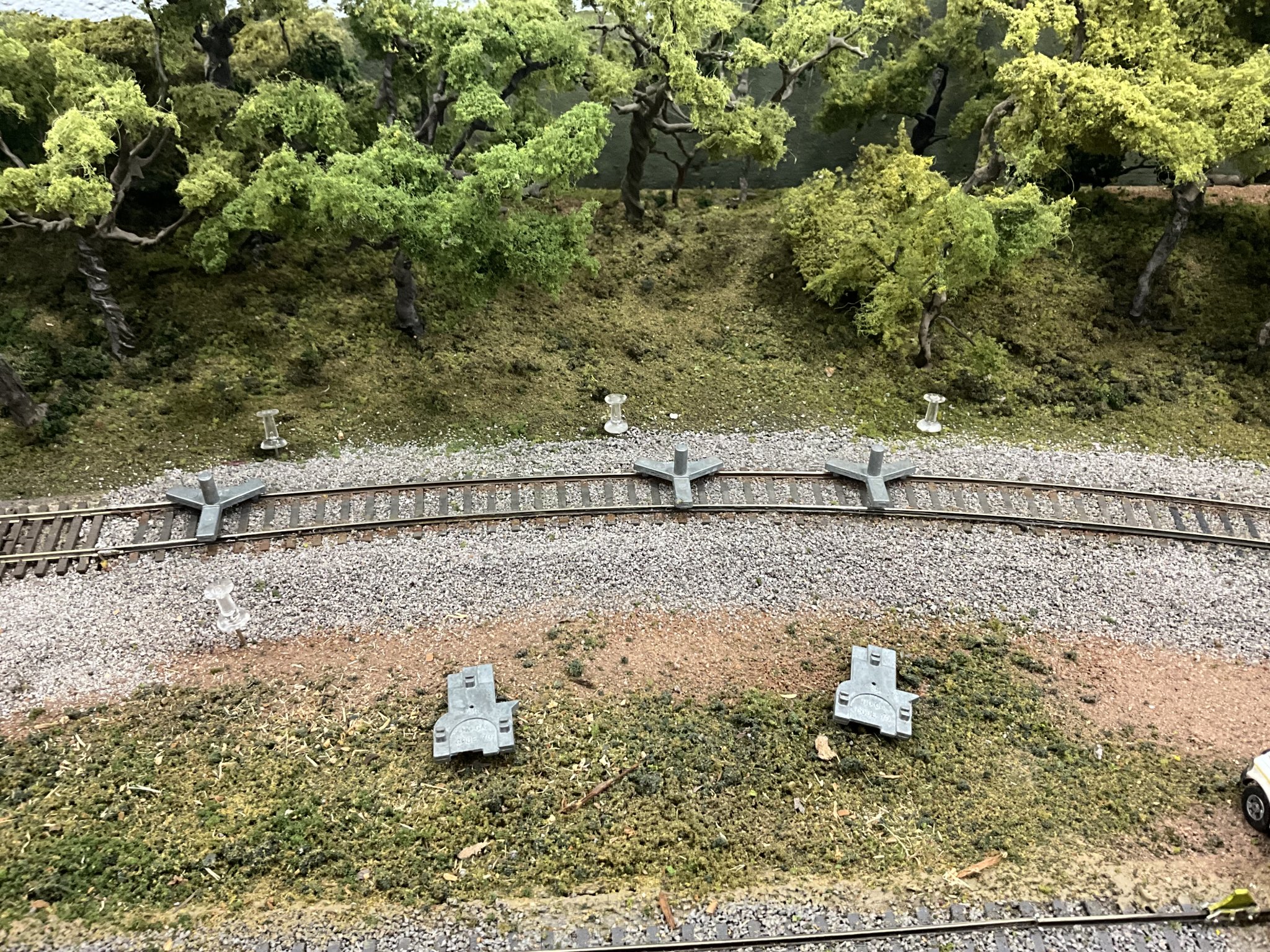 IMG_9646.jpeg