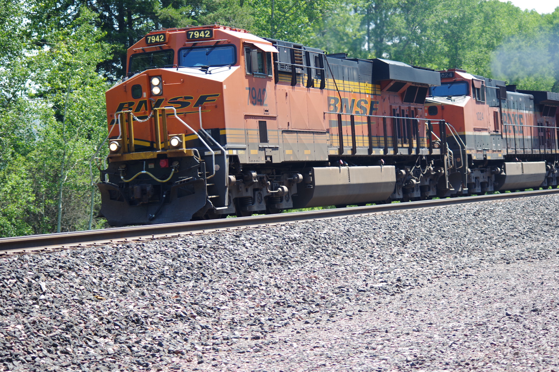 IMGP1047.JPG