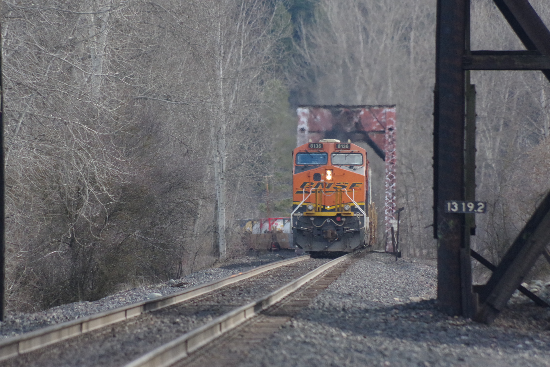 IMGP1121.JPG