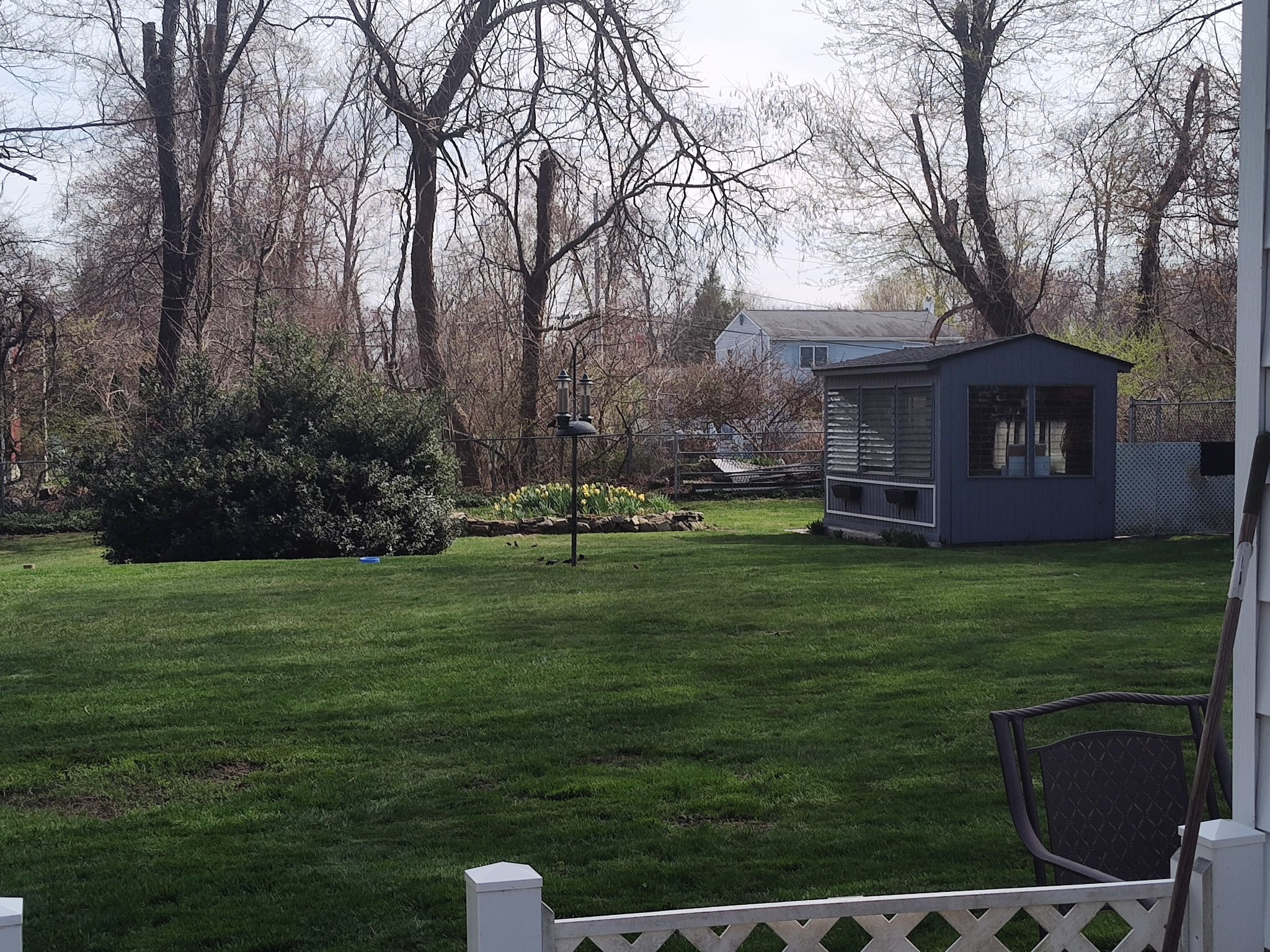 Lawn_04_25.jpg