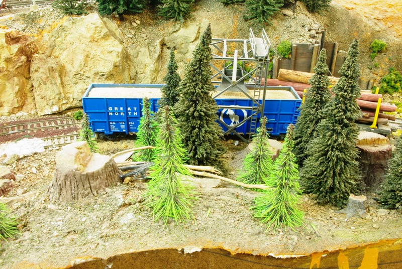 Logging_area_2014_7