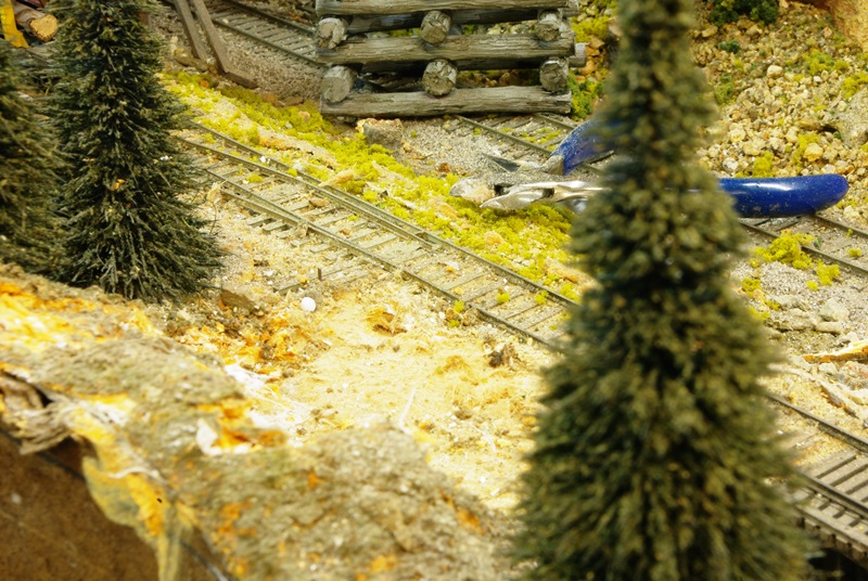 Logging_area_2014_9