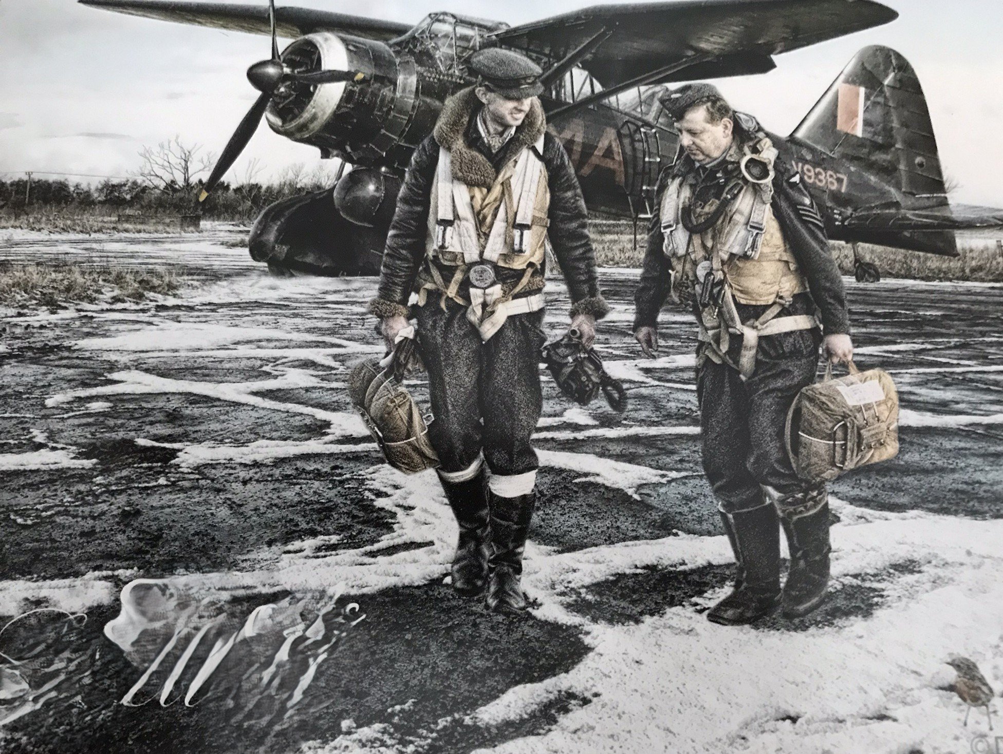 LYSANDER 2.JPEG