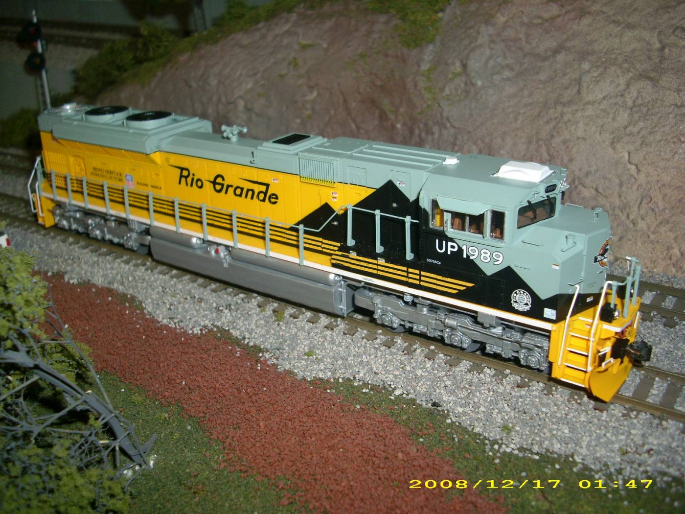 mr rio grande