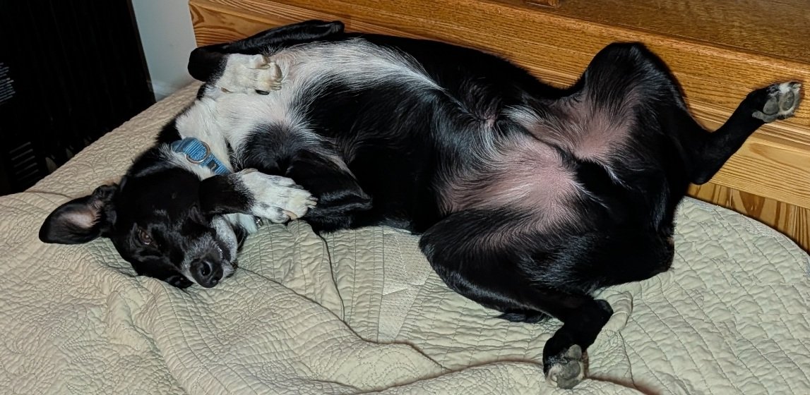 Murphy_09_24_26_02.jpg