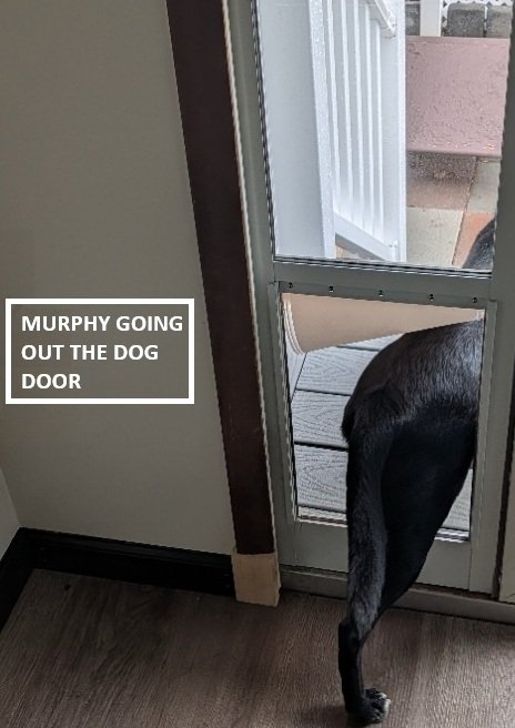 Murphy_Dog_Door_01_04.jpg