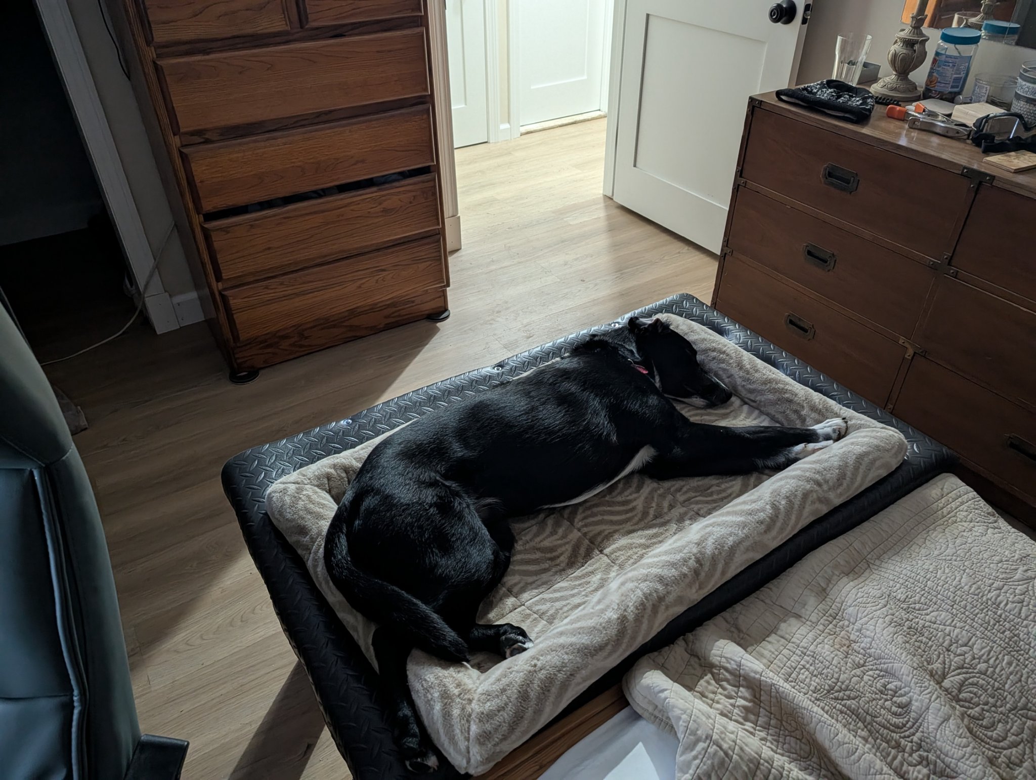 Murphy_New_Bed_233.jpg
