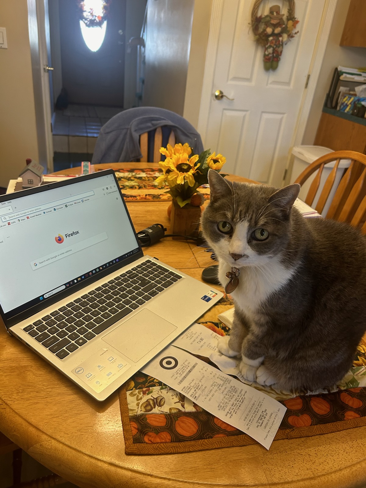 My accountant 11_06_2024.jpg
