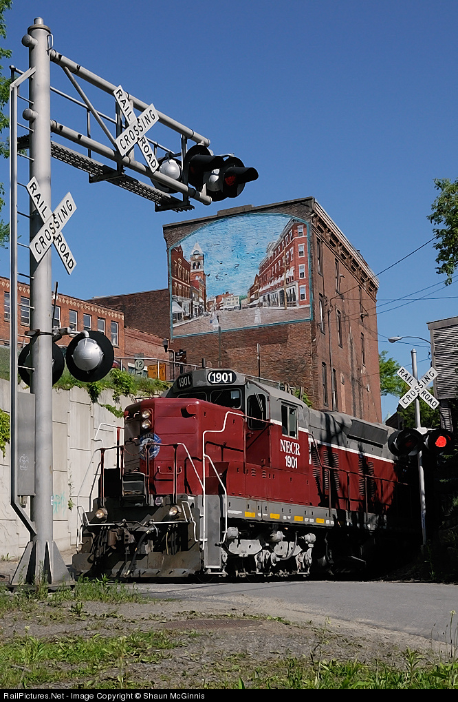 NECR 1901.jpg