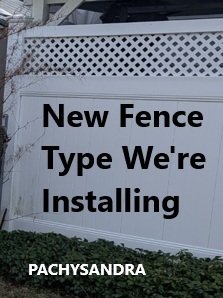 New_Border_Fence_02.jpg