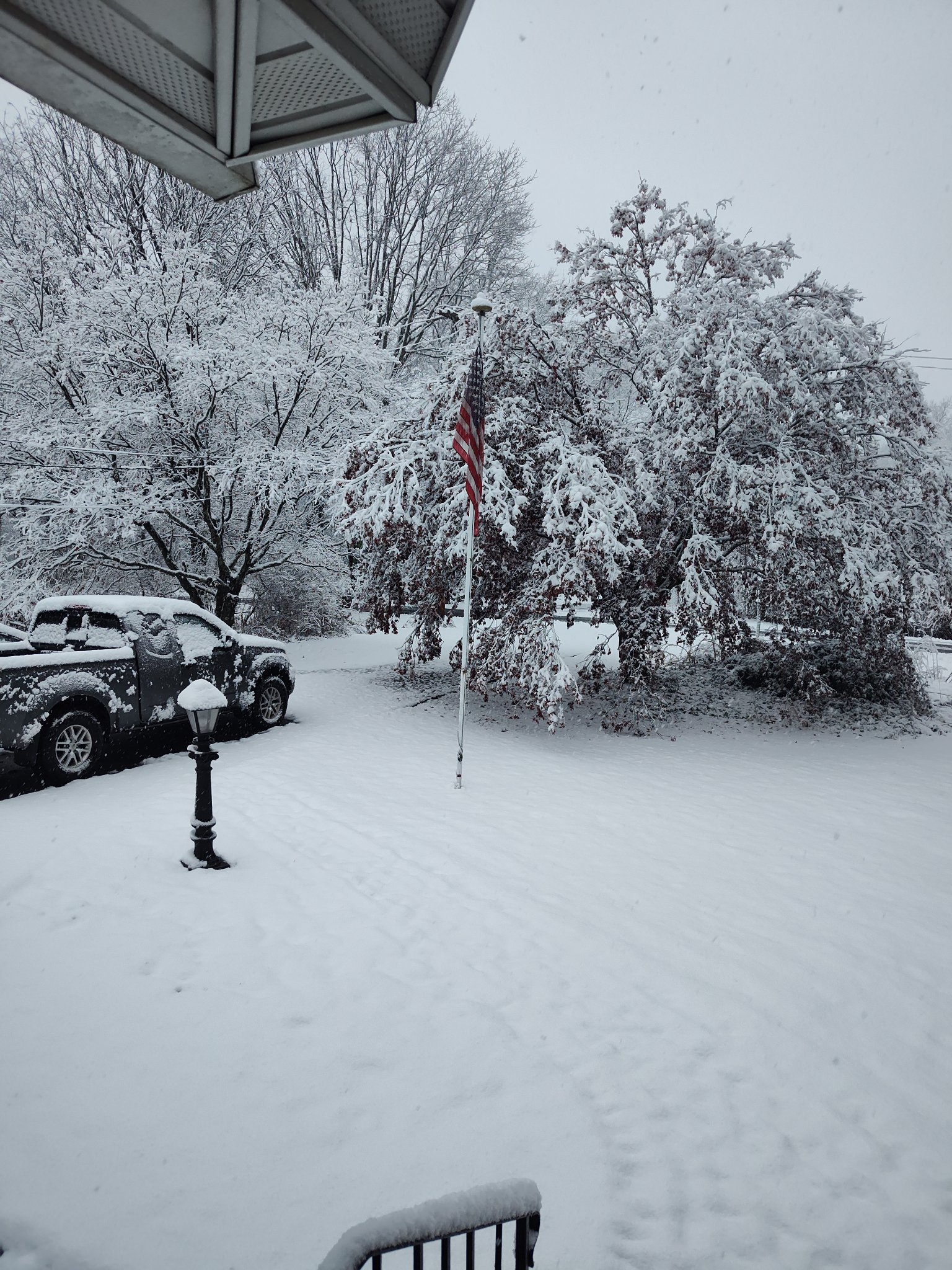 Nov_Snow_2024.jpg
