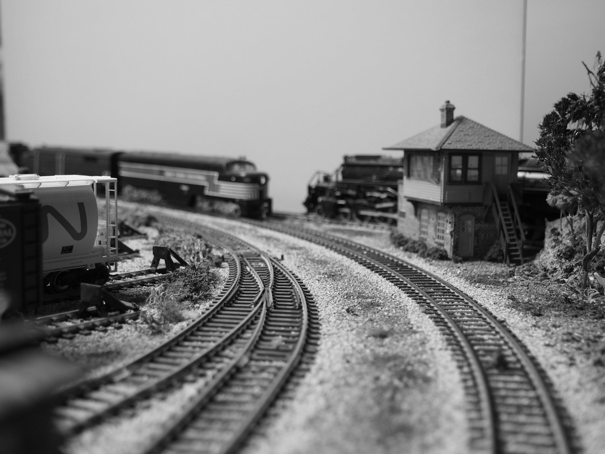 P1010251.JPG