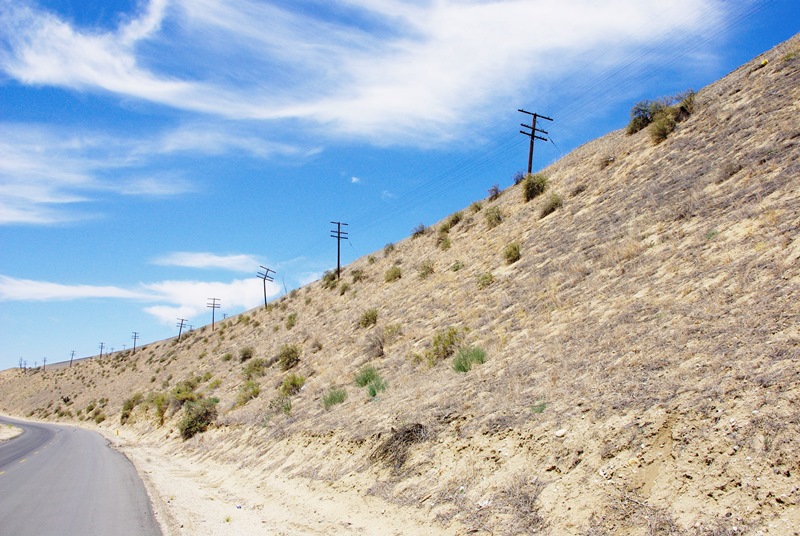 Pole_Line_Bena_1