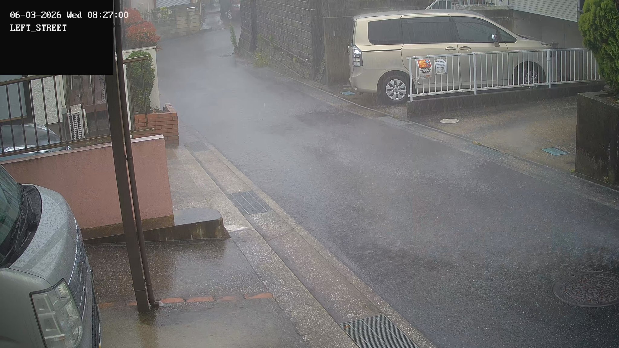 RAIN GUSTS 3.jpg