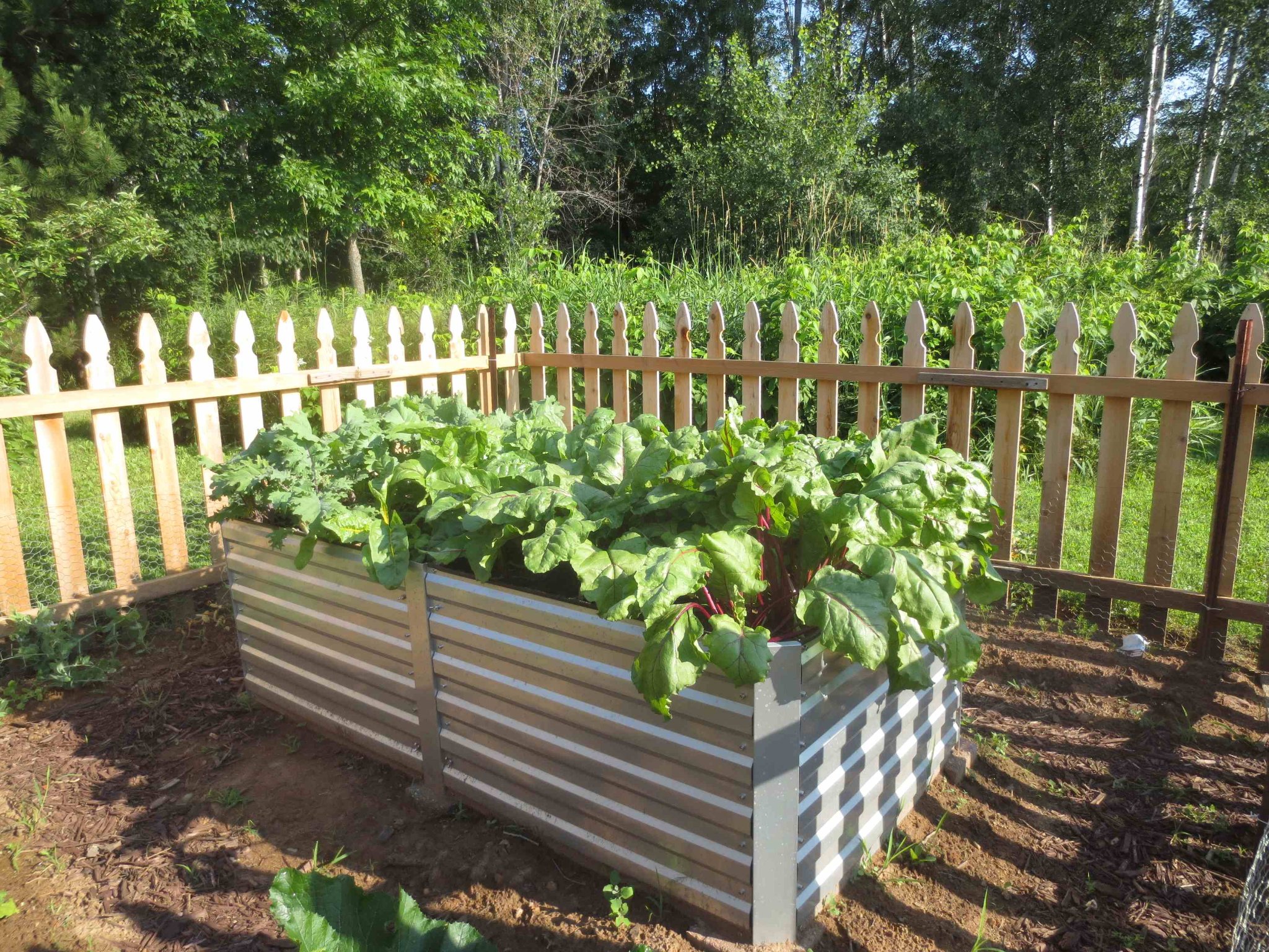 raised bed.JPG
