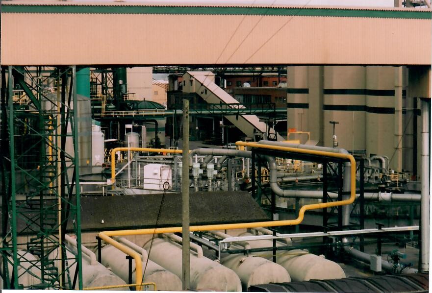 scan0005.jpg