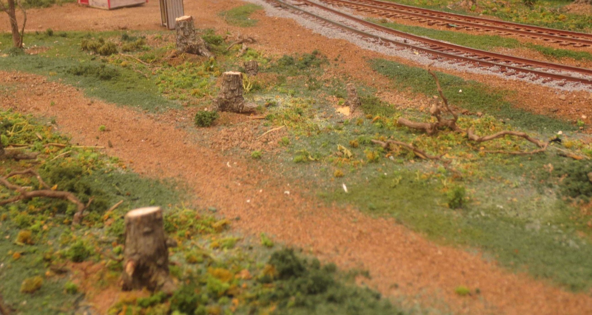 scene 11.JPG