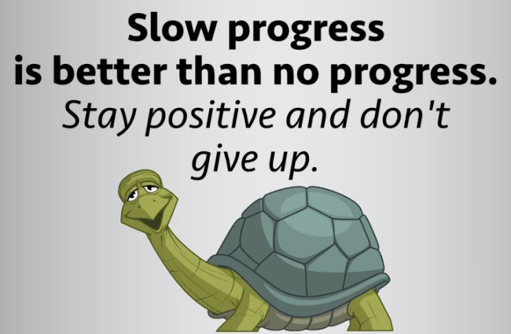 SLOW PROGRESS.JPG
