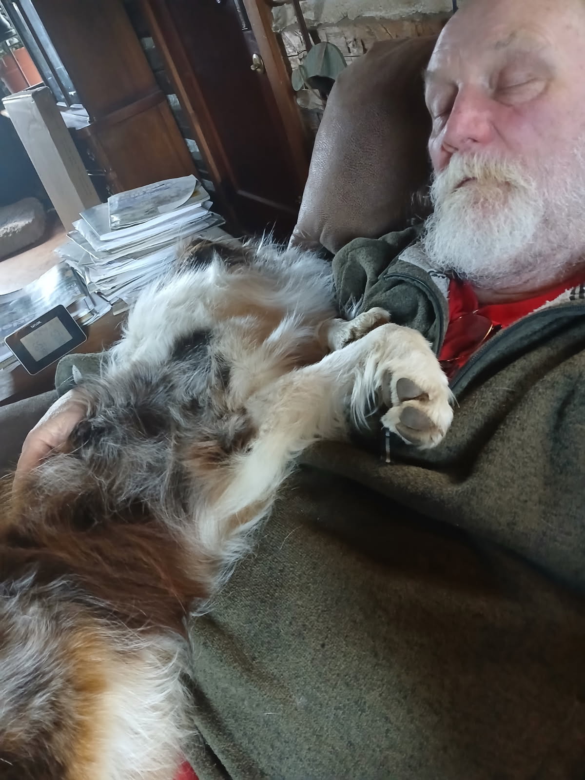 Snooze.jpg